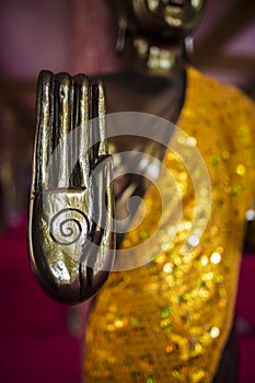 Golden buddha hand with spiral sign with shimmering yellow robe