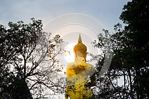 Golden Buddha illuminated with tree silhouette