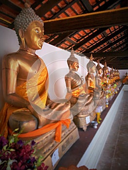 The golden buddha image