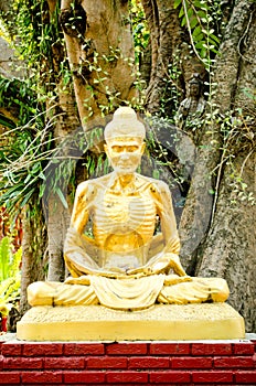 Golden buddha image and big tree background.