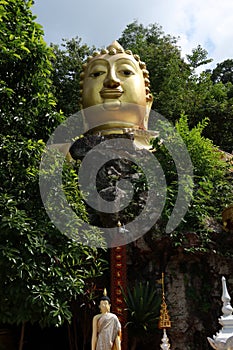 Golden Buddha image, sacred belief in Thai temple located on high mountain, forest and sky background.