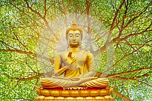 Golden Buddha image under the Bodhi leaf, natural background