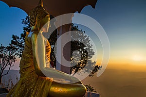 Golden Buddha in a pine forest at dawn.
