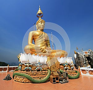 Golden buddha statue