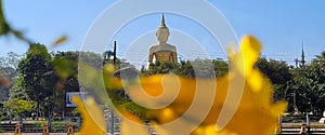 Golden buddha statue