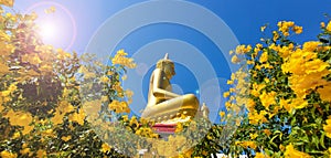 Golden buddha statue