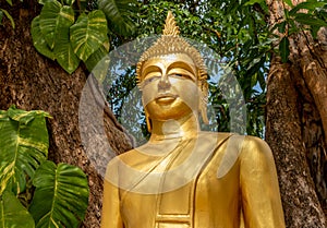 Golden Buddha statue at an Asian temple