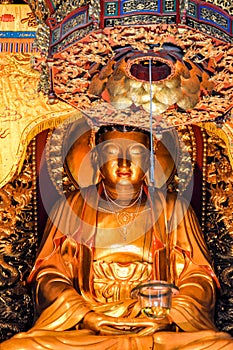 Golden buddha statue in Fayu Temple. Mount Putuo