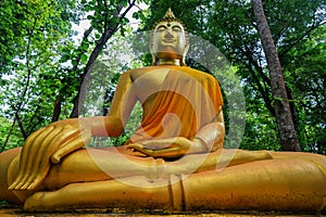 Golden Buddha statue in Forest