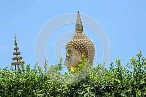 Golden Buddha statue head in the temple.