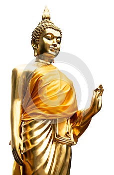 Golden buddha statue sacred the in public temple of Thailand isolated on white background with clipping path