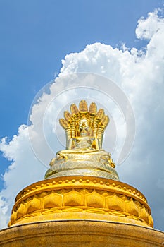 Golden Buddha statue with seven Naga heads under on blue sky