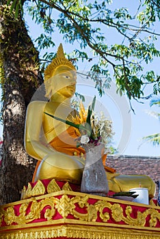 Golden buddha statue sitting near the tree