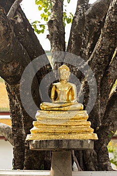 Golden Buddha statue in Temple