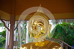 Golden Buddha statue in Thailand