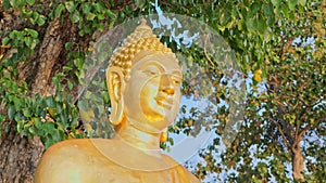 Golden Buddha statue under the Bodhi tree