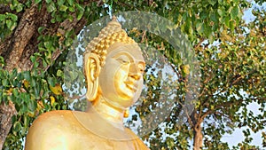 Golden Buddha statue under the Bodhi tree