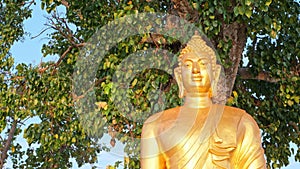 Golden Buddha statue under the Bodhi tree