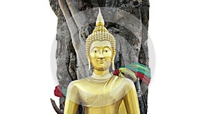 Golden Buddha statue under the Bodhi tree and Silk isolated on white background with clipping path.