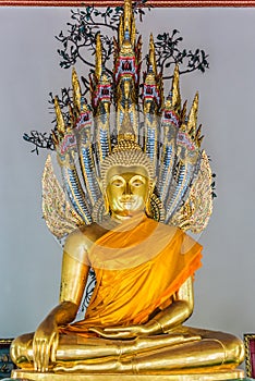 Golden Buddha statue Wat Pho temple bangkok thailand