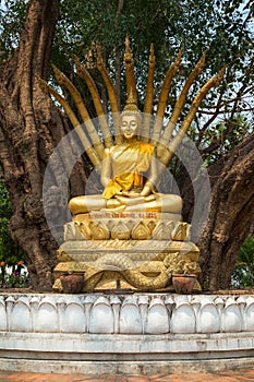 Buddha statue at Wat Visounnarath in Luang Prabang