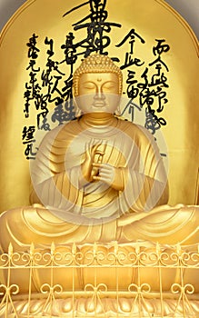 Golden Buddha Statue at World Peace Pagoda