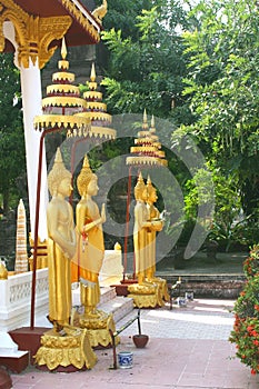 Golden Buddha statues in temple Wat Sisaket,Vientiane, Laos