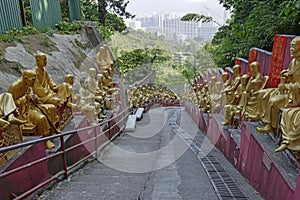 Golden Buddha statues at Ten Thousand Buddhas Monastery, Hong Kong