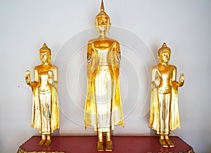 Golden Buddha at Wat Pho Bangkok, Thailand