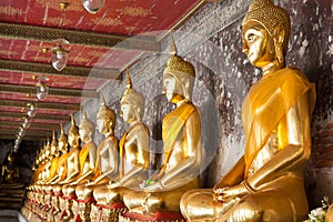 Golden buddhas lined up