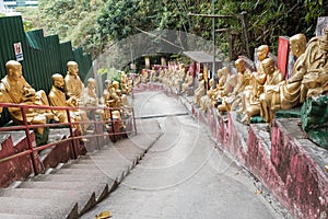 Golden Buddhas Statue in Ten Thousand Buddhas Monastery, the travel location in Sha Tin, Hong Kong