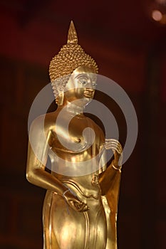 Golden of buddish state in the art style ,Wat Krathum Suea Pla t