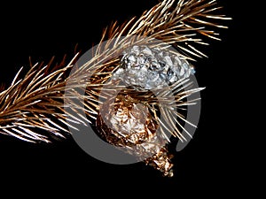 Golden bump on a golden branch of a Christmas tree on a black background