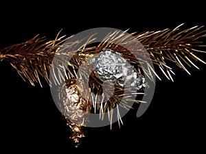 Golden bump on a golden branch of a Christmas tree on a black background