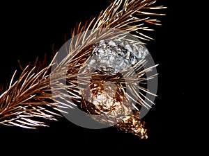 Golden bump on a golden branch of a Christmas tree on a black background