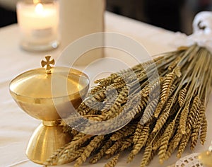 Golden calyx and the ears of wheat over an altar in church