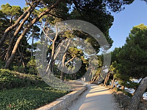 Golden Cape Forest Park Zlatni rt, Rovinj Rovigno - Istria, Croatia / Park ÃÂ¡uma Zlatni rt Punta corrente, Rovinj - Istra photo