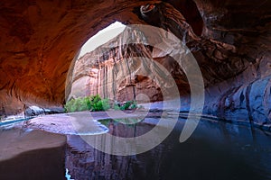 Golden Cathedral Neon Canyon Escalante National Park Utah