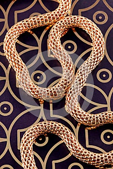 Golden chain on gold and brown background