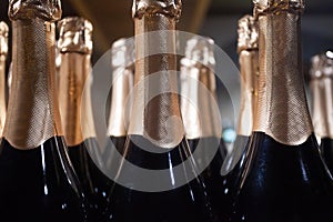 Golden champagne bottles necks standing on light background