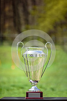 Golden champion cup