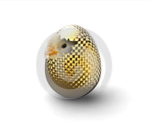 Chick and cracked golden egg