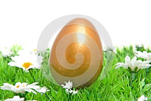 Golden chicken easter egg on grass
