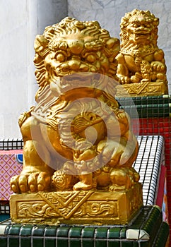 Golden Chinese Guardian Lion Decoration