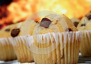 Golden chocolate chip muffins baked in the kitchen