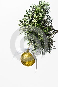 Golden Christmas ball hanging on pines tree leaf on white