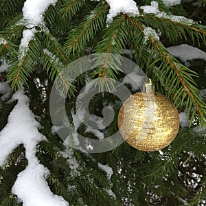 Golden christmas ball hanging on a snowy spruce branch