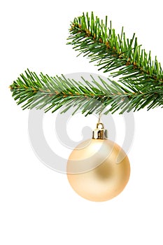 Golden christmas ball on a tree