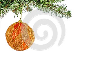 Golden Christmas ball on tree branch photo