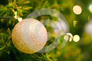Golden Christmas Balls Decorated on Pine Tree on Christmas day with blurry Christmas tree background and bokeh of Christmas